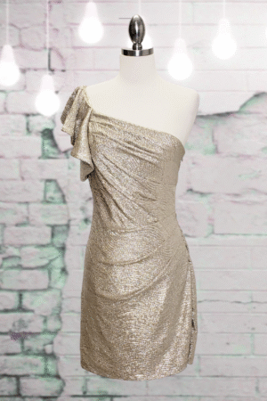 Hailey Logan By Adrianna Papell Dress - Size Small