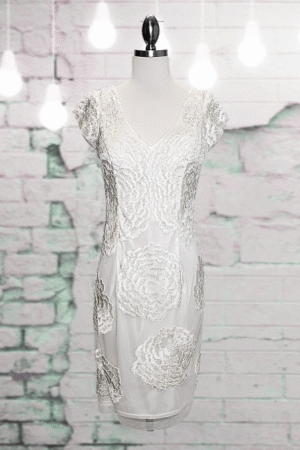 Sue Wong Nocturne Formal Dress- Size 6/8
