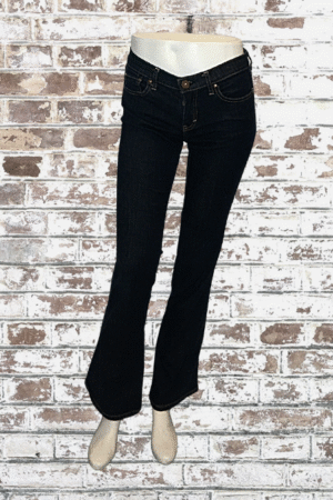 Banana Republic Jeans - Dark Resin Boot - Size 26/XS