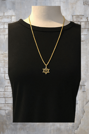 Gold Plated Cross In Star Of David 24" Necklace - NEW
