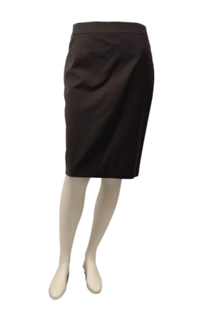 Ann Taylor Skirt - Size 4
