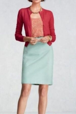 Cabi Skirt Size Small - 6
