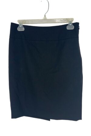 The Limited Skirt Size 4