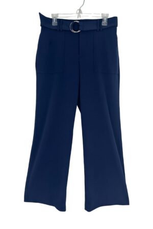 New International Concepts Dress Pants Size 8